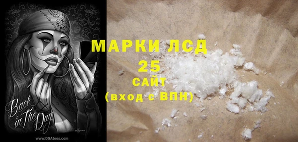 хмурый Алзамай